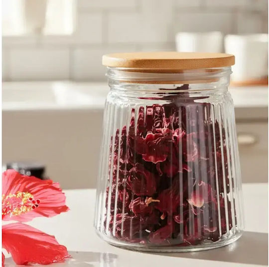Vilde Vilde Allgemeine Verwendung Glas Vasen mit Deckel Transparent 700ml