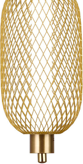 Alista Home Adjustable Pendant Light Gold