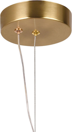 Alista Home Adjustable Pendant Light Gold
