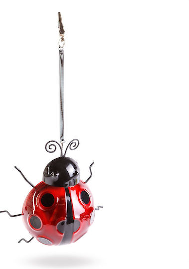 Solar Lamp Ladybug Red 15 x 7 x 16 cm 6 LEDs