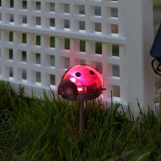 Led Solar Lamp Ladybug Cool White Red 75 X 60 X 156 Mm