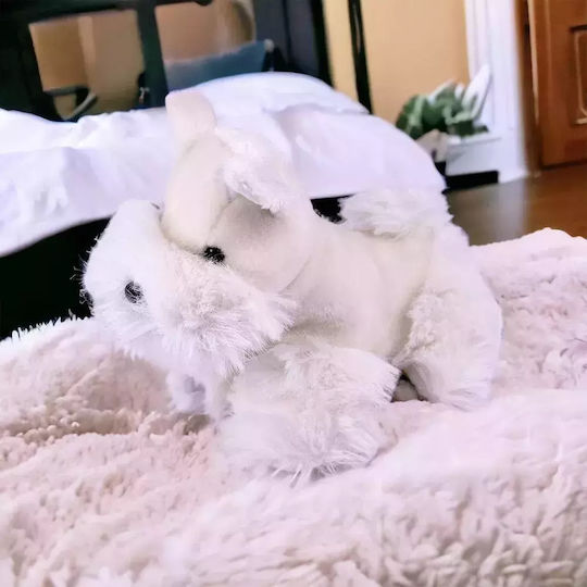 Chippo Плюшено Кученце 22 см.