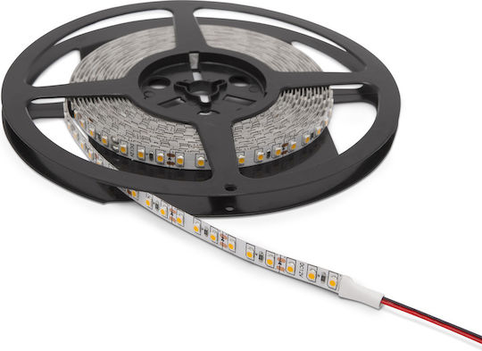 Alista Home Bandă LED 12V 5m cu Sursă de alimentare