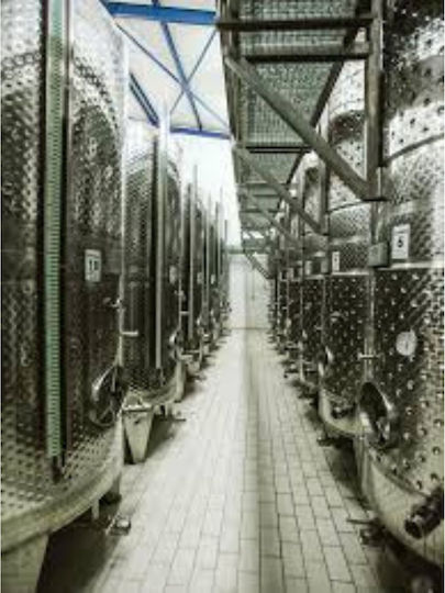 Ktima Apostolidi Organic White Dry Wine 750ml