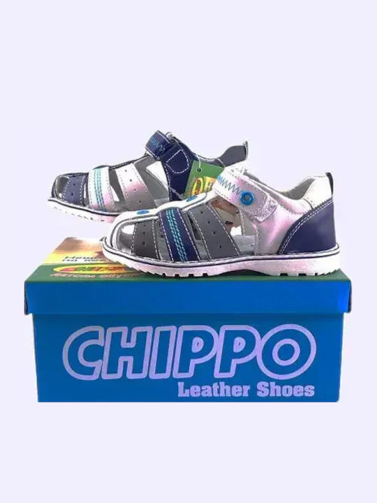 Chippo