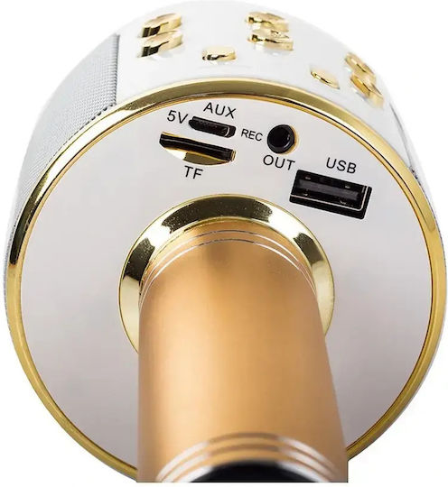 01377 Auriu