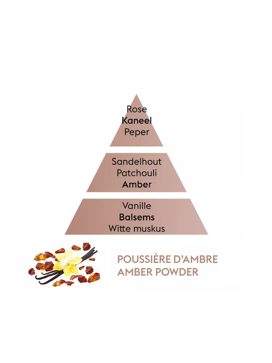 Maison Berger Paris Υγρό Αναπλήρωσης για Diffuser με Άρωμα Poussiere Ambre 115022 500ml