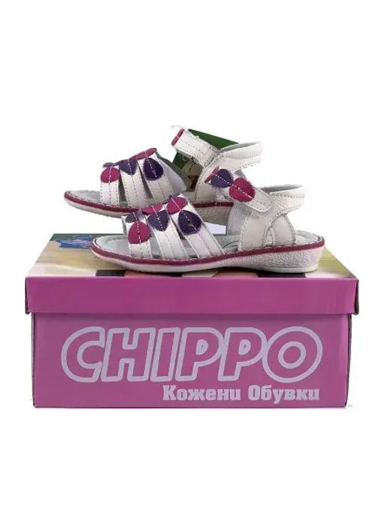 Chippo