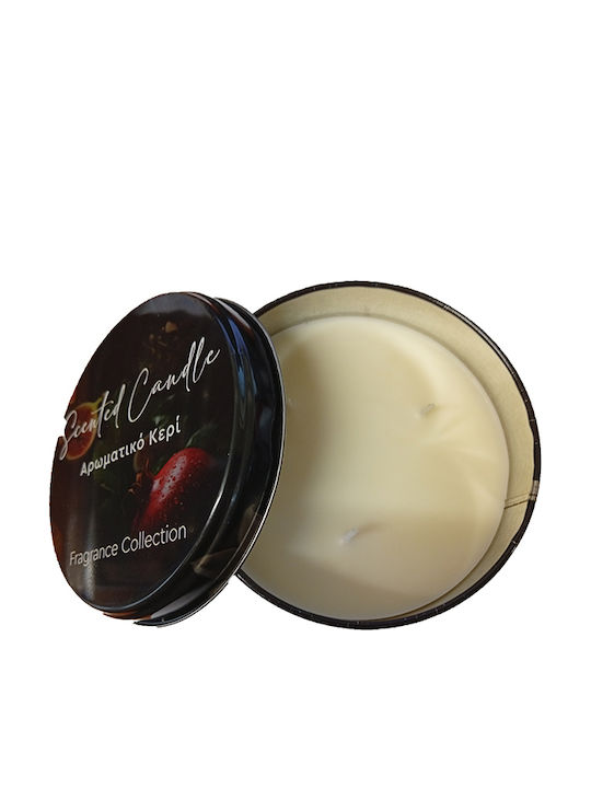 Erycandles Χριστουγεννιάτικο Μεταλλικό Κερί Κόκκινο 12x7εκ.