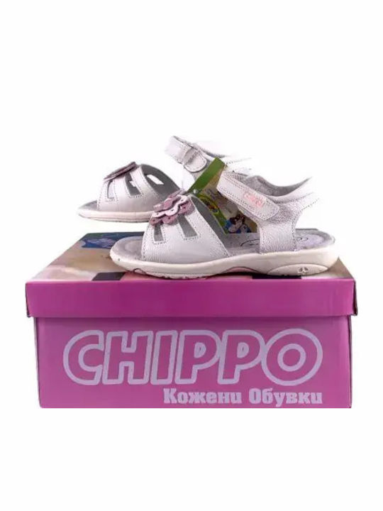 Chippo