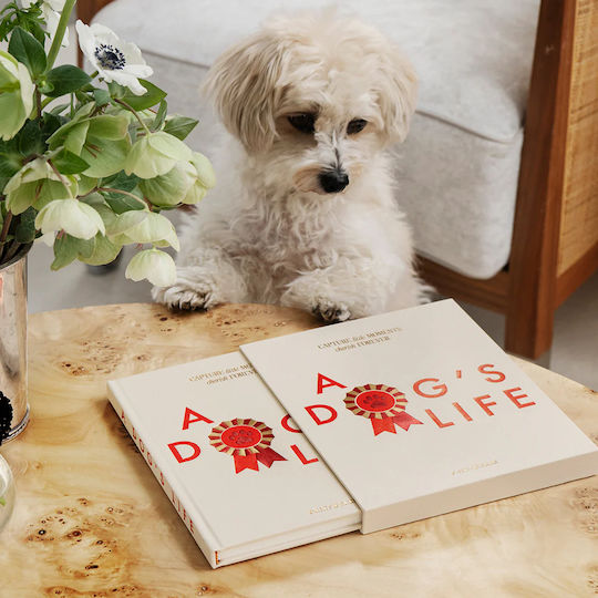 Printworks A Dog's Life Carnet