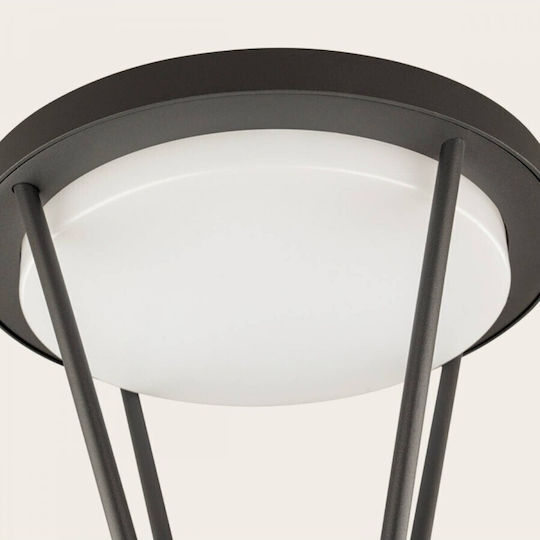 Zambelis Lights Соларна Светлина 5W 3000К IP54