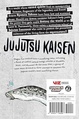 Jujutsu Kaisen Vol. 13