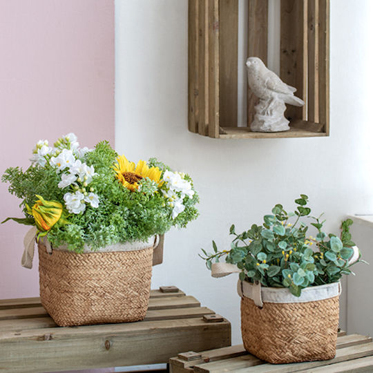 Artekko Plant Pot Concrete Beige 16x16x14cm 2pcs