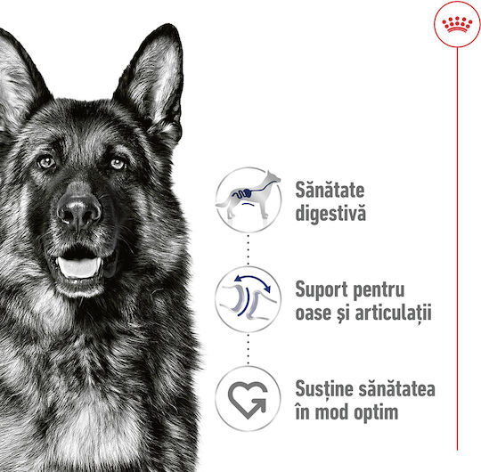 Royal Canin Maxi Wet Food Dogs Diet with Meat 12x410gr