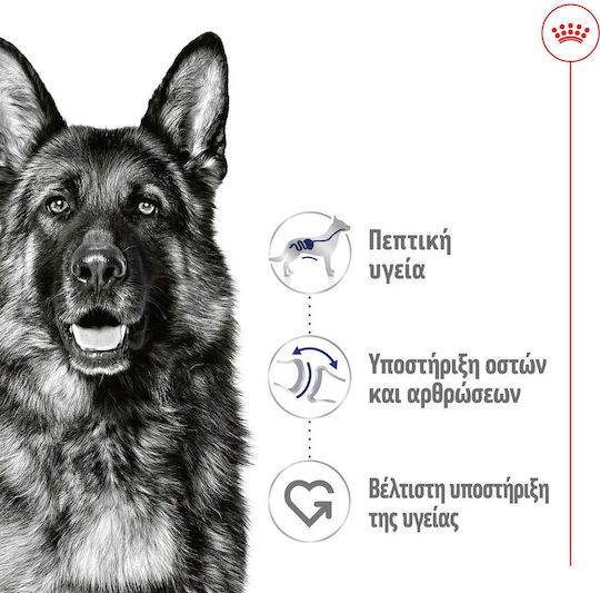 Royal Canin Maxi Nassfutter Hunde Diät 12x410gr