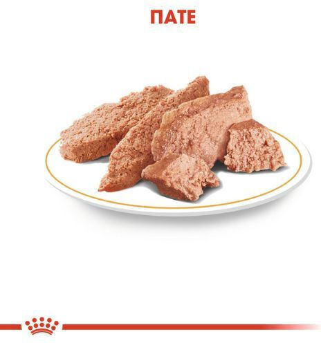 Royal Canin Wet Dog Food Pouches With Tuna Fish And Meat 12x85gr