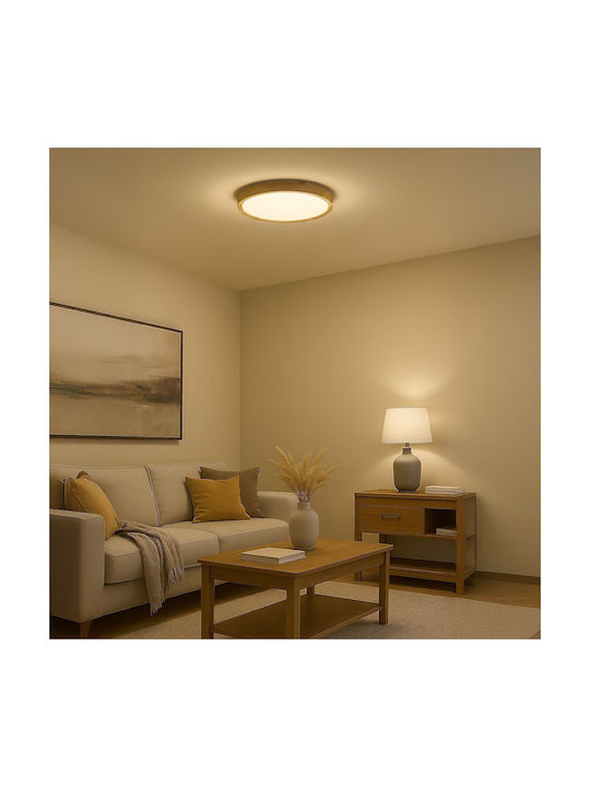 Eko Light Πλαφονιέρα LED Eko Light Πλαφονιέρα LED