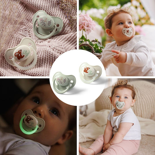 Babyono Day Night Silicone Pacifiers Night for 6-18 Months 2 Pieces