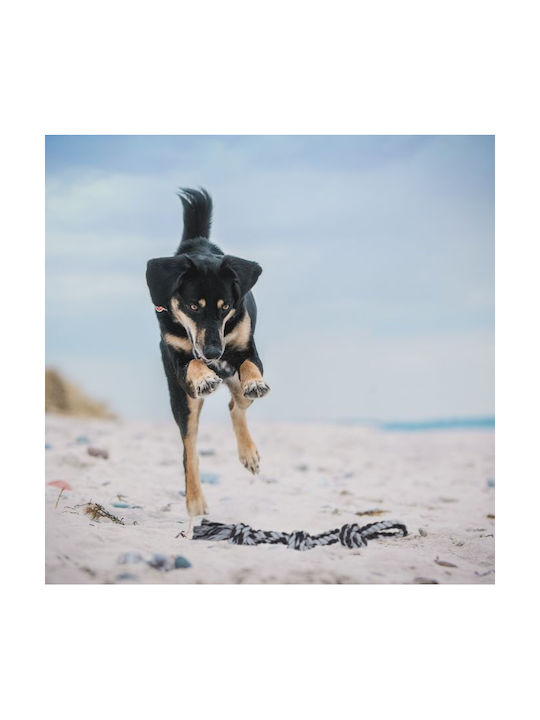 Relaxdays Dog Toy Ropes Relaxdays Black Gray 100% Polyester