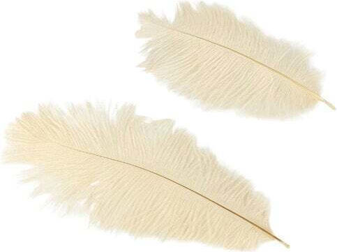 Wing Craft White