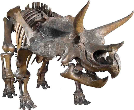 Flashlight Projector Dinosaurs