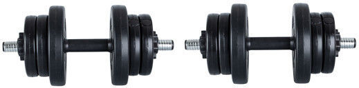 inSPORTline Dumbbell Set with Bar 20kg