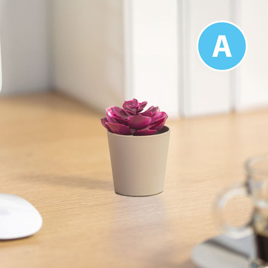 Artificial Plant Decor In Pot 6 X 9 Cm 6 Types