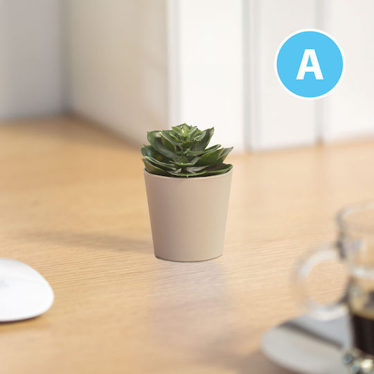 Artificial Plant Decor In Pot 6 X 9 Cm 6 Types