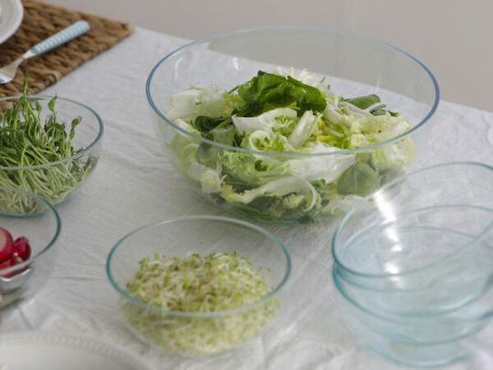 Marine Business Plastic Salad Bowl Transparent