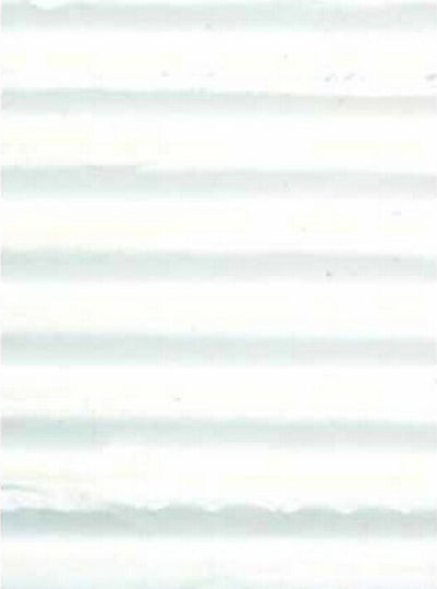 Rainbow White