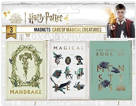 Harry Potter Set of Magnets 5.5x8cm 1pcs
