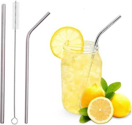 Set Straws Metal Silver with Brush 3pcs