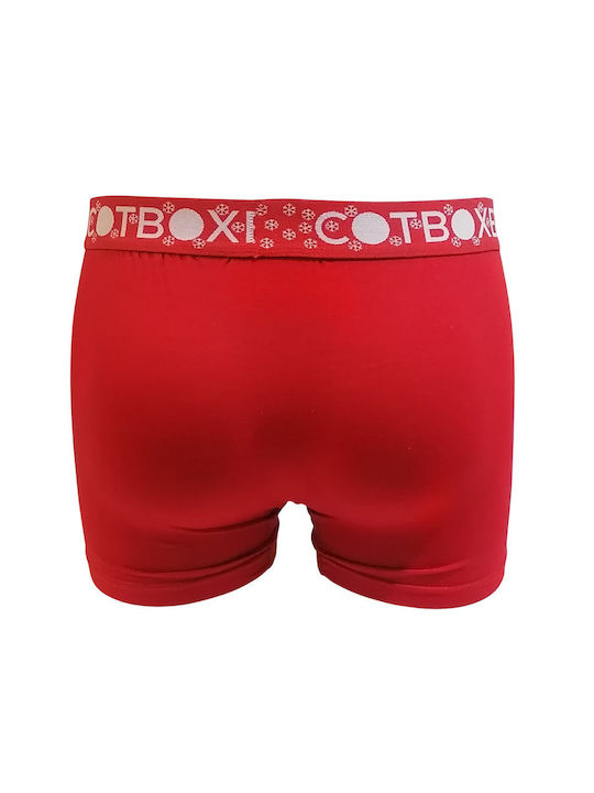 CotBoxer CotBoxer