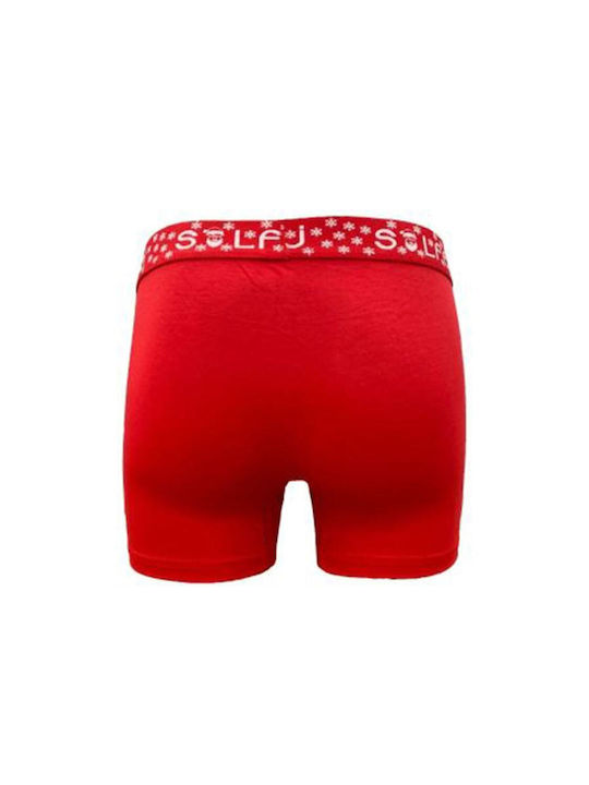 CotBoxer CotBoxer