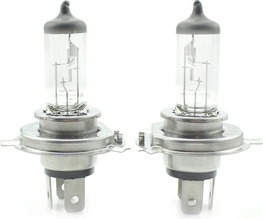 Set 1 Set 2 Lămpi Auto Halogen H4 55W +50% Intensitate Durată Lungă Carguard