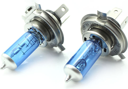 Set 1 Set 2 Halogen H4 Bulbs + 100% Intensity Long Life Carguard