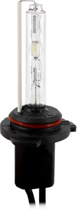 Bec Xenon 9006 4300K Hb4 CarGuard