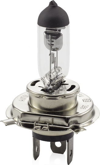 Halogen Bulb H4 55/60w +30% Brightness Carguard