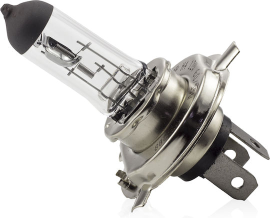 Halogen Bulb H4 55/60w +30% Brightness Carguard