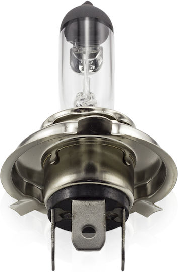 Halogen Bulb H4 55/60w +30% Brightness Carguard