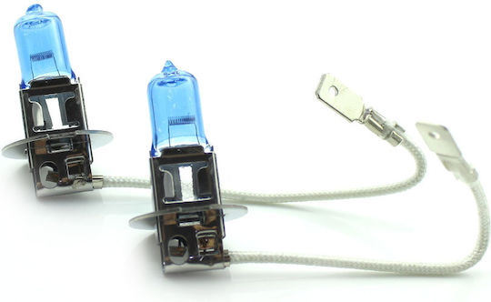 CarGuard Autolampen Halogen H3 Glühbirnen +100% Intensität Lange Lebensdauer