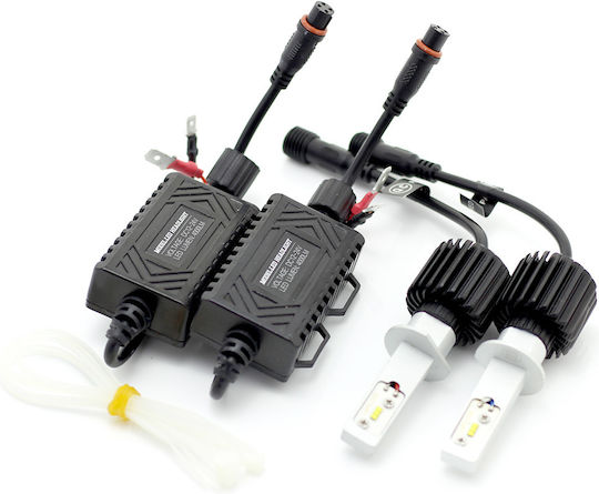 Set 1 Led H1 Carguard