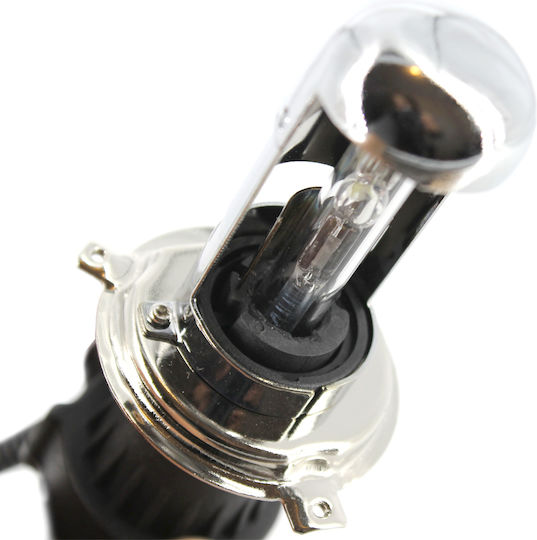 Xenon Bulb H4-4.3k Carguard