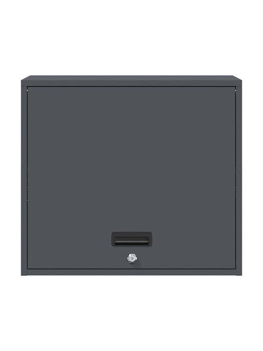 Wand Wohnzimmer Vitrine aus Metallisch Anthrazit 60x40x53cm