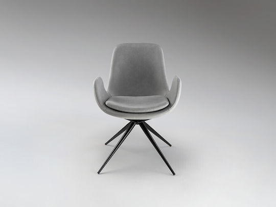 Stühle Speisesaal Light Grey 1Stück 59xx55cm