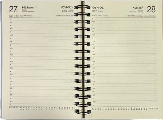 Planogramma Spiral Daily Diary 17x24 2026 Blue Red