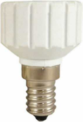 Elvhx Socket Adapter from E14 to GZ10 in White color Set 1pcs ELE14GZ10