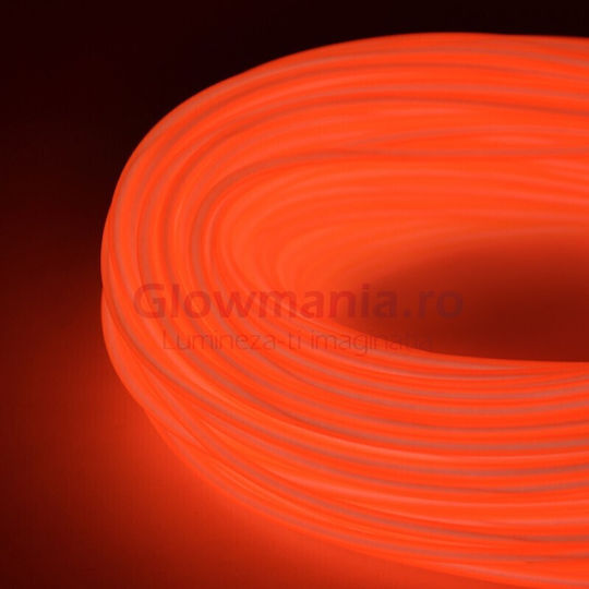 Sârmă Neon Electroluminiscentă Flexibilă El 5 Mm