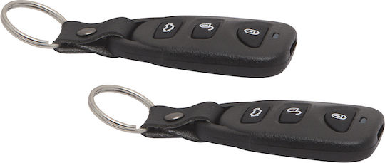 Central Locking Module Set Controlling Central Locking